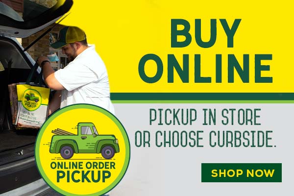 Buy Online and Pickup In Store 