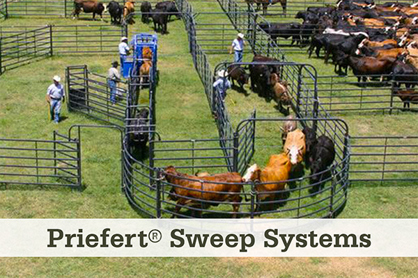 Priefert Estate Fence at McCoy's Building Supply