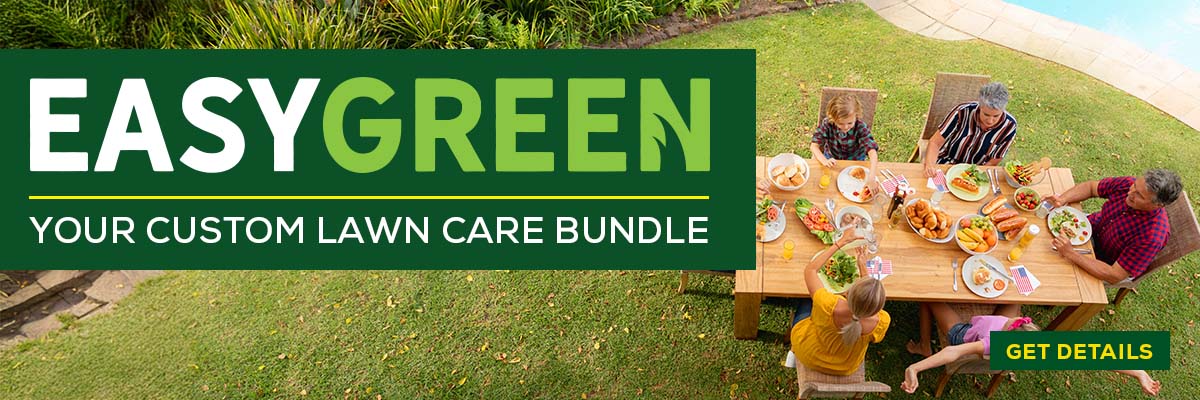 EasyGreen Summer