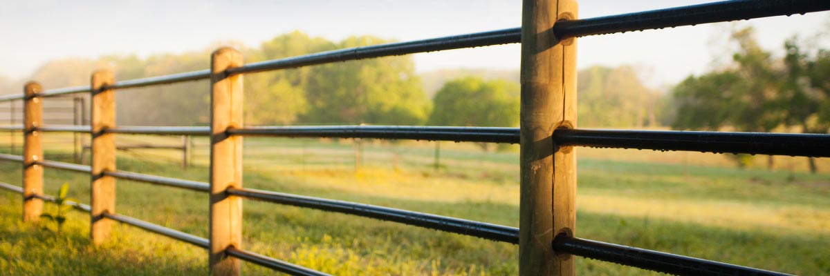 Ponderosa Wood Post Fence