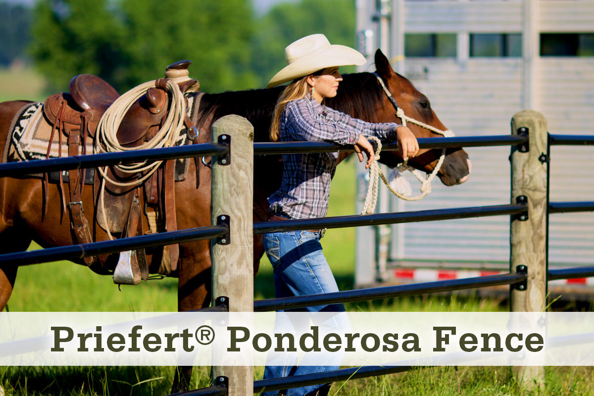 Priefert® Ponderosa Fence at McCoy's Building Supply