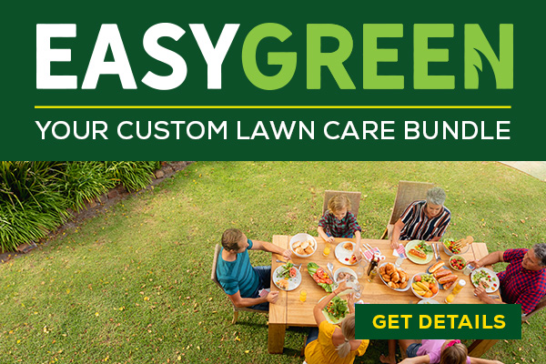EasyGreen Summer