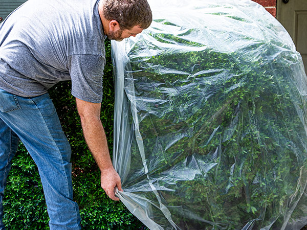 Cover Your Plants