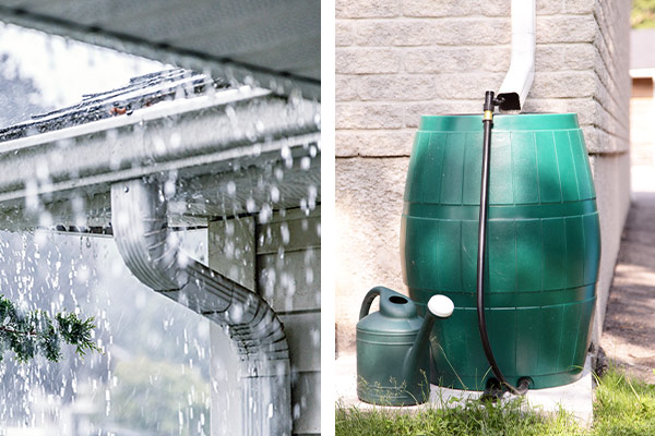 Garden Irrigation to Take Your Garden to the Next Level