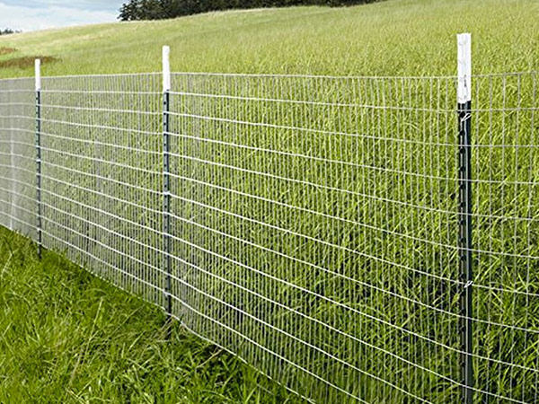 Fencing Wire