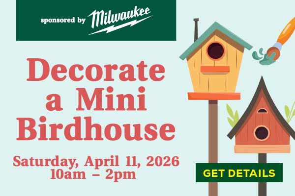 Decorate a Mini Birdhouse