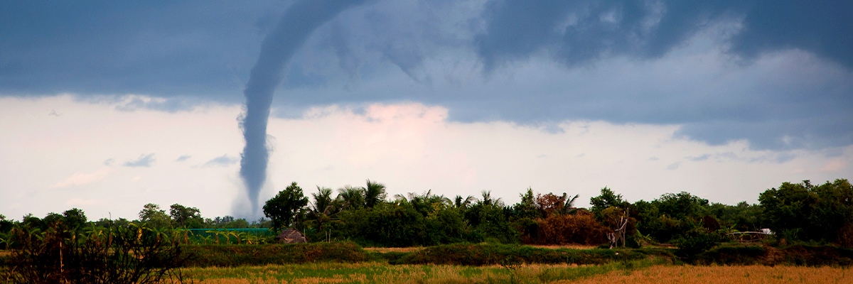 High Winds or Tornados: What You Can Do to Prep Your Home